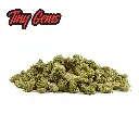 TINY-GEMS-MINI-BUDS.webp