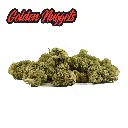 GOLDEN-NUGGETS-MINI-BUDS.webp