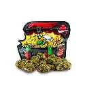 1. FOTO PRODUCTO + BOLSA_MINI BUDS GOLDEN NUGGETS_FONDO BLANCO.webp
