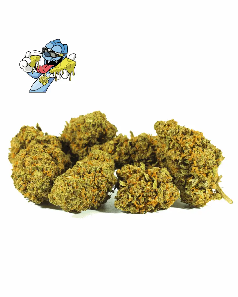CHEESE+LOGO_2.webp
