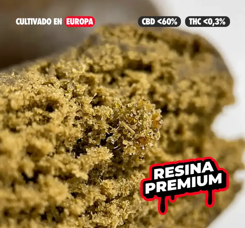 Captura de pantalla 2026-08-29 110610.webp