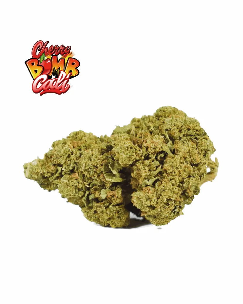 CHERRY-BOMB+LOGO_1.webp