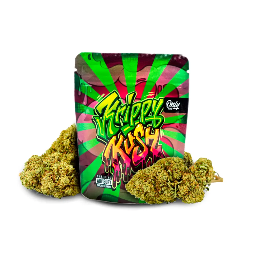 1. FOTO PRODUCTO + BOLSA_KRIPPY_SIN FONDO..webp