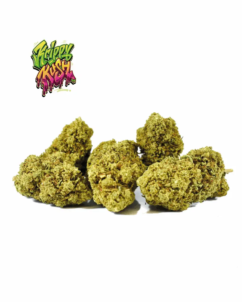 KRIPPY-KUSH+LOGO_2.webp
