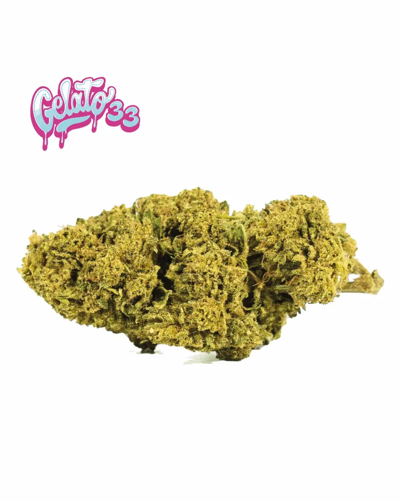 GELATO33+LOGO_1.webp