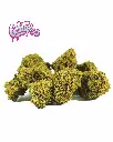GELATO33+LOGO_2.webp