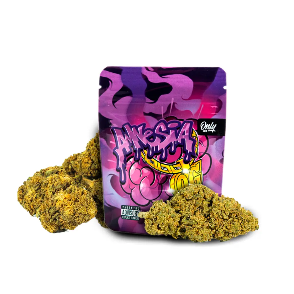 1. FOTO PRODUCTO + BOLSA_AMNESIA_FONDO BLANCO.webp