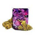 1. FOTO PRODUCTO + BOLSA_AMNESIA_FONDO BLANCO.webp