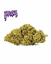 AMNESIA-OG+LOGO_1.webp