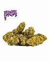AMNESIA-OG+LOGO_2.webp