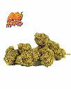 MANGO+LOGO_2.webp