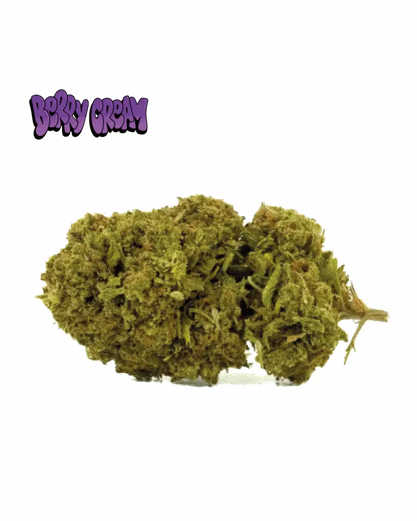 BERRY-CREAM+LOGO_1.webp