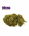 BERRY-CREAM+LOGO_1.webp